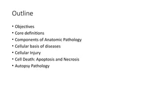 Introduction_to_Anatomical_Pathology_OAU_Medical_School_2023.pptx