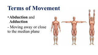 Introduction to anatomicomedical terms | PDF