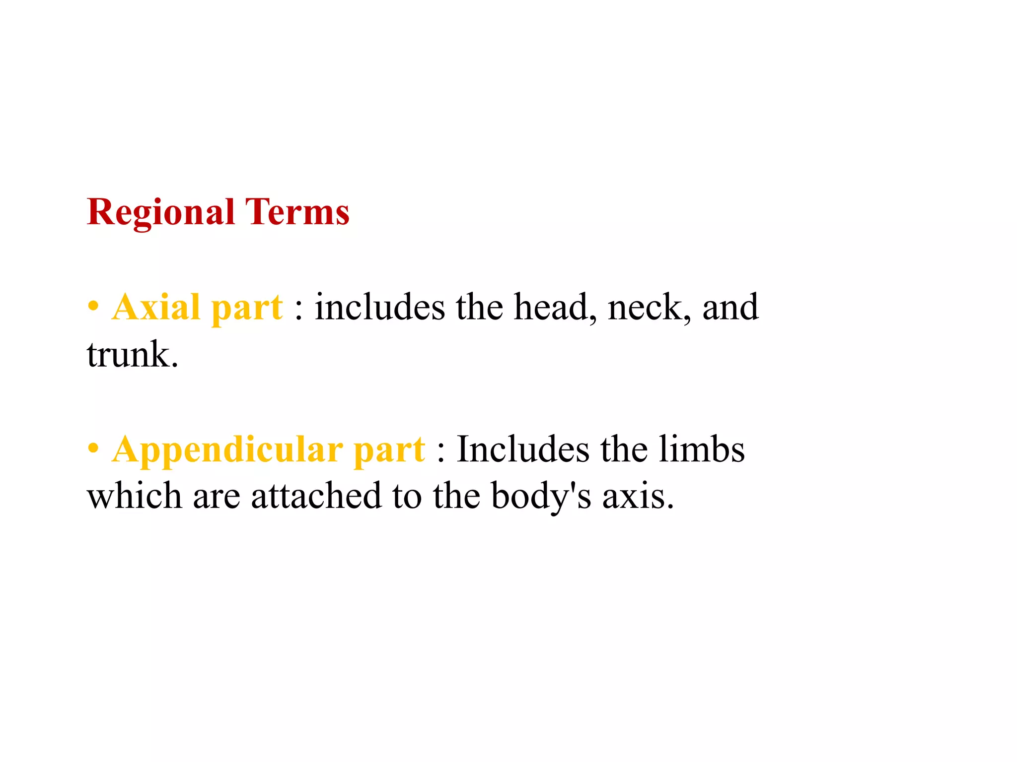 Regional Terms• Axial part : includes the head, neck, andtrunk.• Appendicular part : Includes the limbswhich are attached to the body's axis.