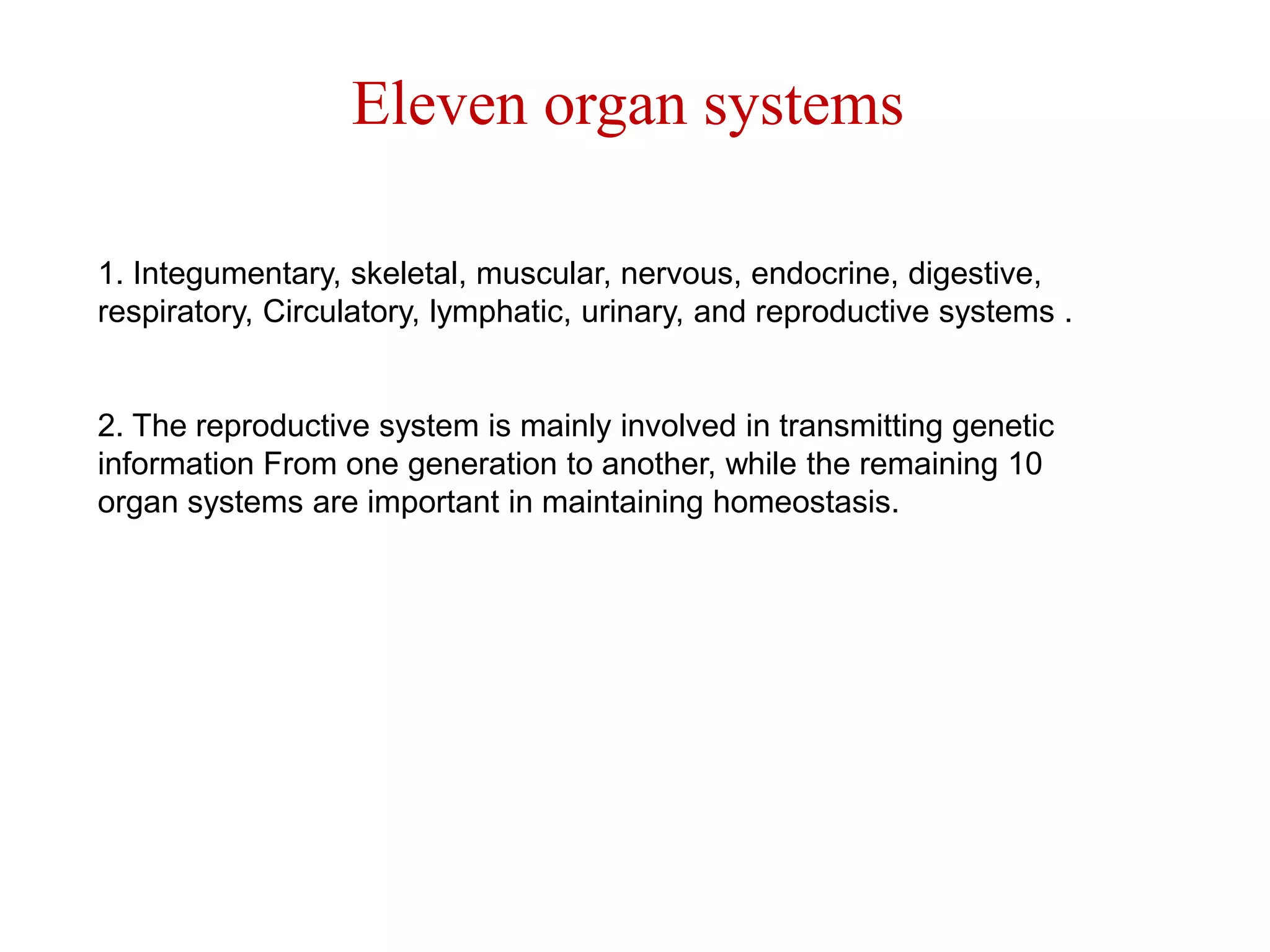                 Eleven organ systems1. Integumentary, skeletal, muscular, nervous, endocrine, digestive,respiratory, Circulatory, lymphatic, urinary, and reproductive systems .2. The reproductive system is mainly involved in transmitting geneticinformation From one generation to another, while the remaining 10organ systems are important in maintaining homeostasis.