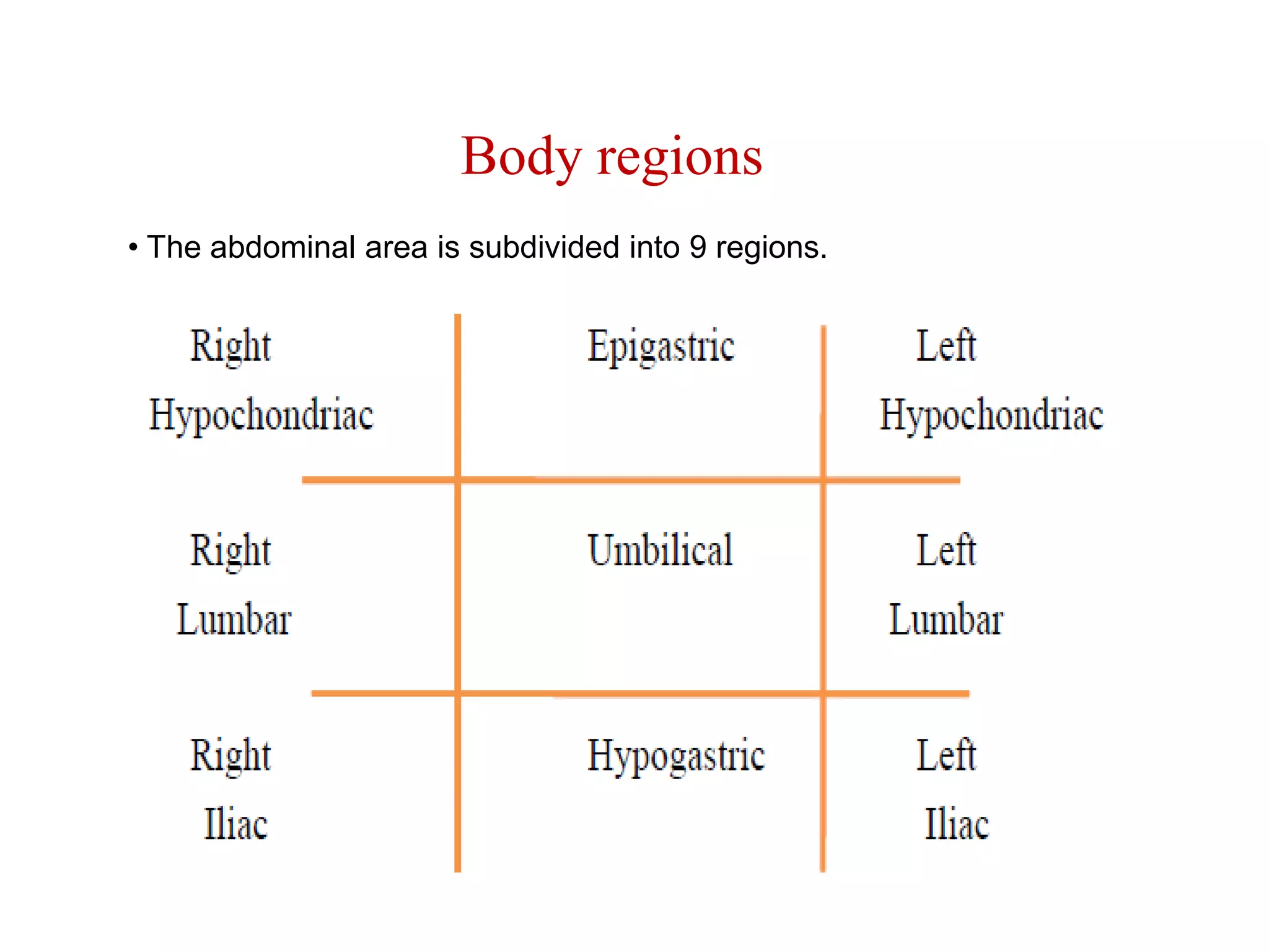 Body regions• The abdominal area is subdivided into 9 regions.