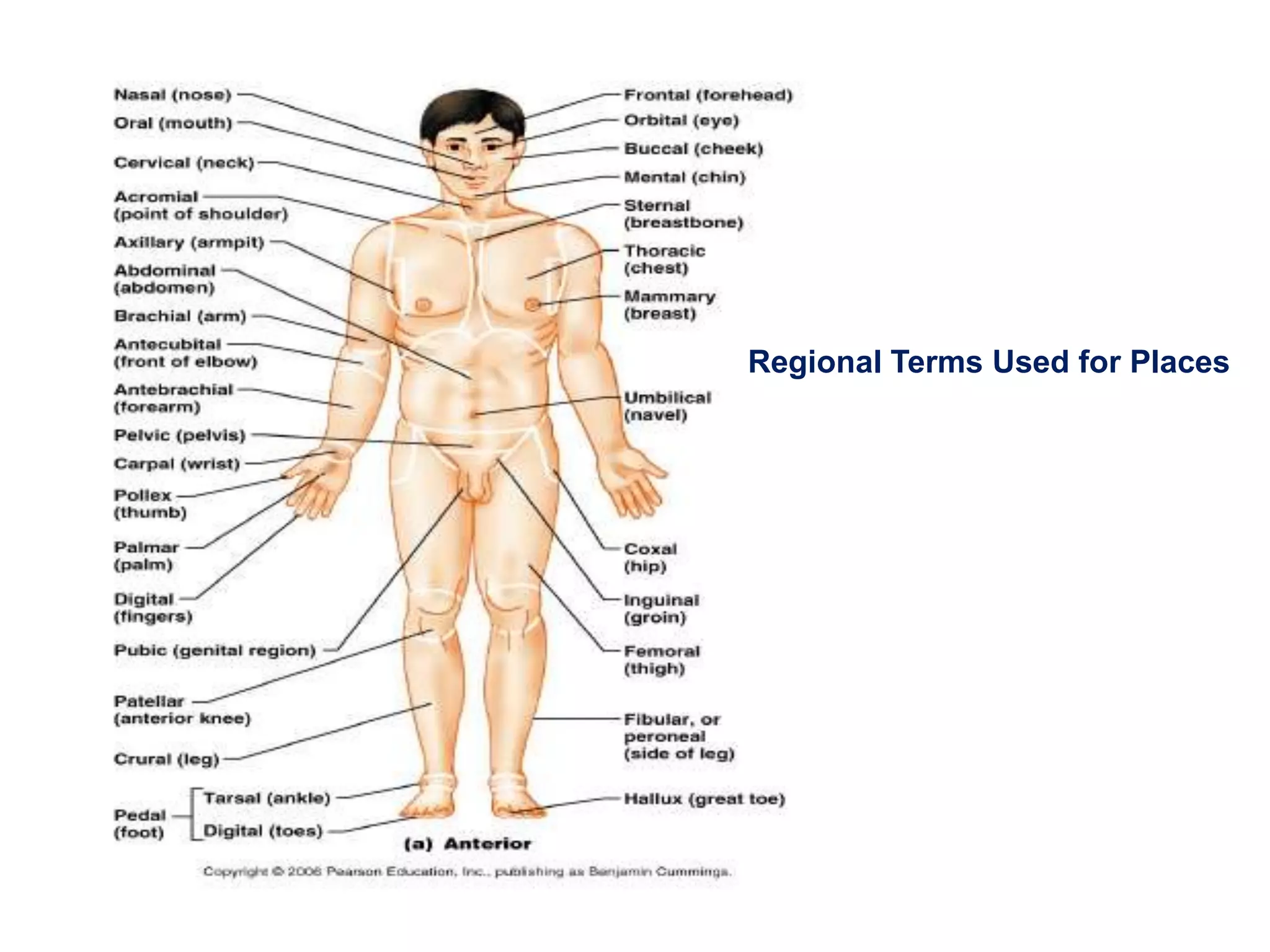 Regional Terms Used for Places 