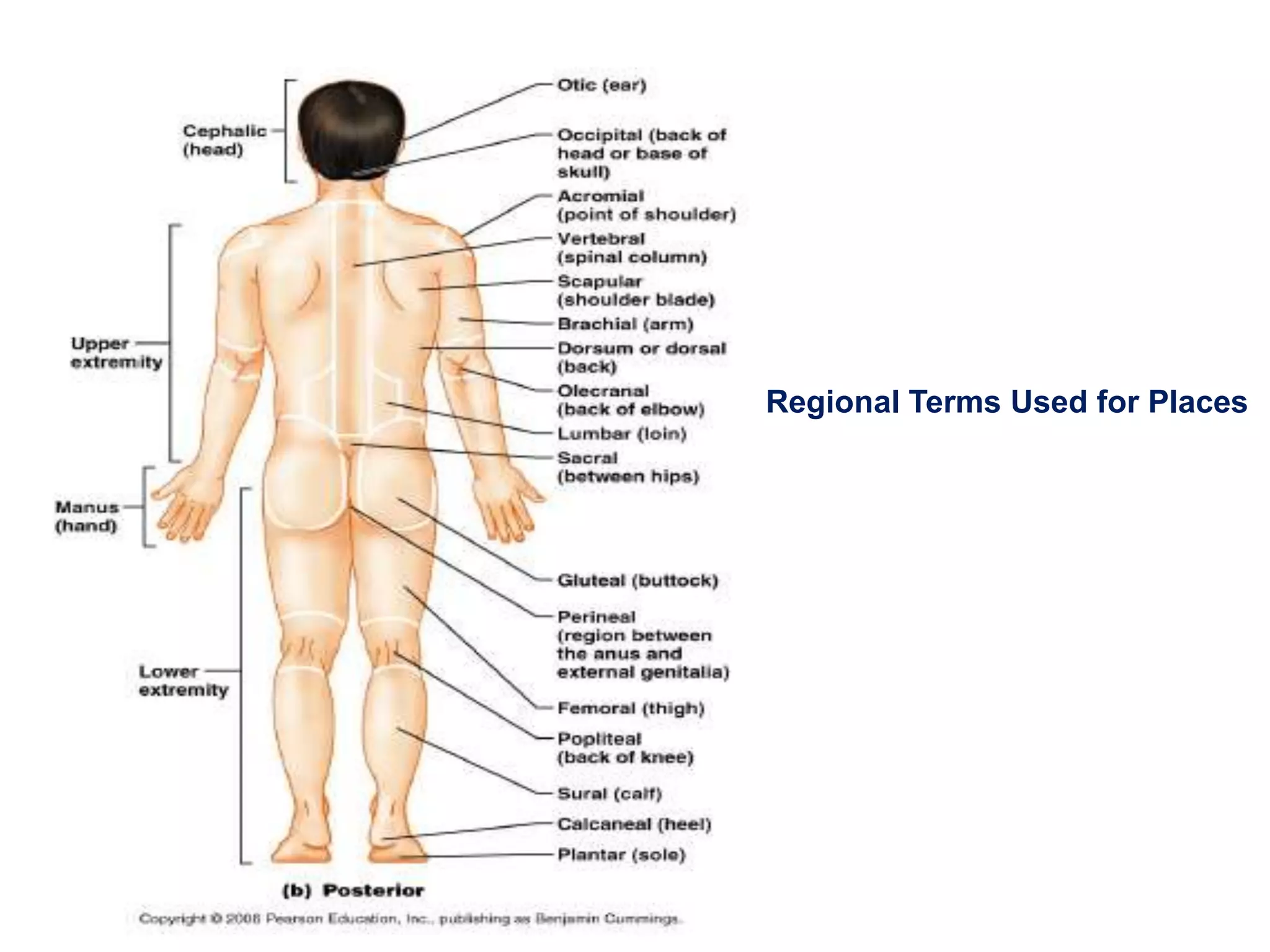 Regional Terms Used for Places 