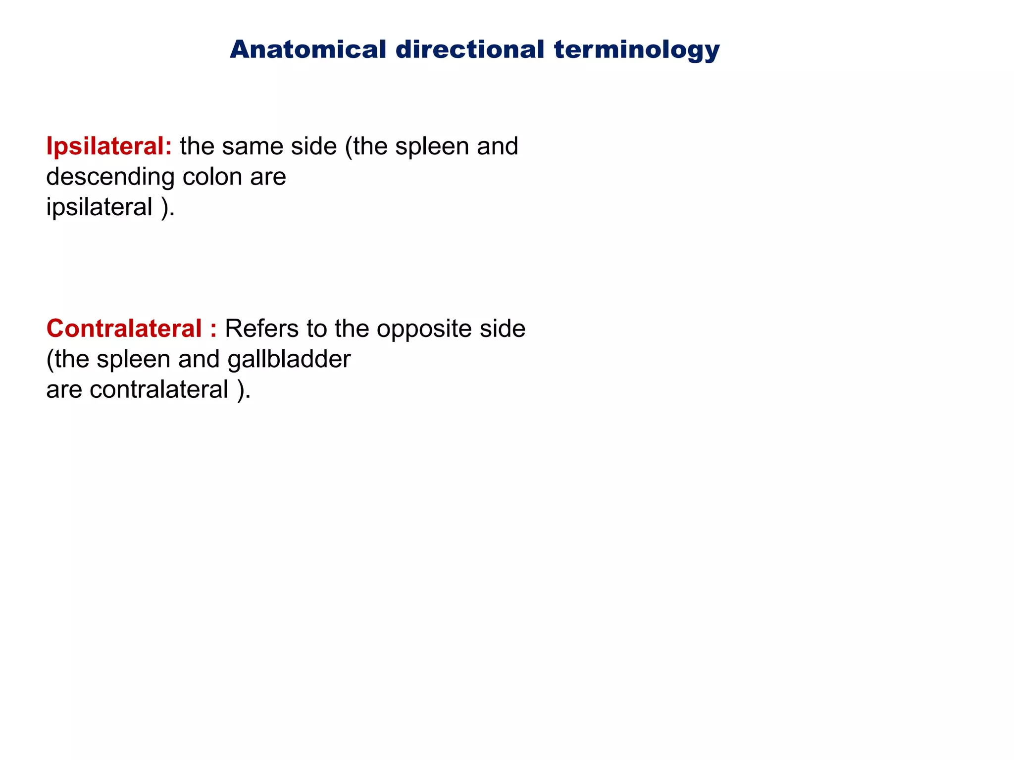 Anatomical directional terminology Ipsilateral: the same side (the spleen and descending colon areipsilateral ).Contralateral : Refers to the opposite side (the spleen and gallbladderare contralateral ).