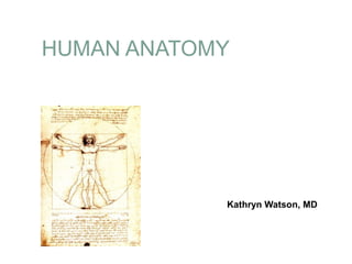 HUMAN ANATOMY




            Kathryn Watson, MD
 