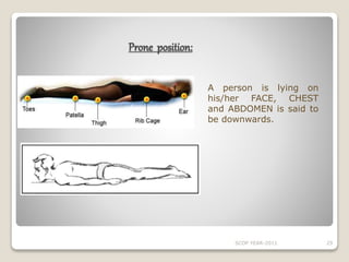 Introduction to anatomy | PPT
