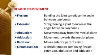 Introduction to Anatomy (Easy) | PDF