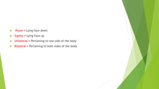  Prone Lying face down
 Supine Lying face up
 Unilateral Pertaining to one side of the body
 Bilateral Pertaining to both sides of the body
 