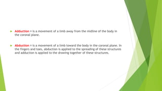  Adduction is a movement of a limb away from the midline of the body in
the coronal plane.
 Abduction is a movement of a limb toward the body in the coronal plane. In
the fingers and toes, abduction is applied to the spreading of these structures
and adduction is applied to the drawing together of these structures.
 