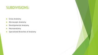 SUBDIVISIONS:
 Gross Anatomy
 Microscopic Anatomy
 Developmental Anatomy
 Neuroanatomy
 Specialized Branches of Anatomy
 