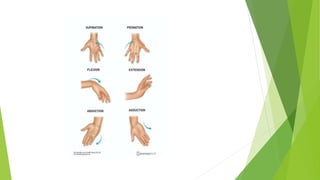 Introduction to Anatomy by Dr. Sami