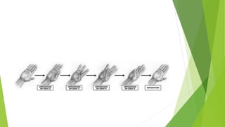 Introduction to Anatomy by Dr. Sami