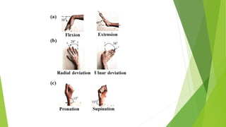 Introduction to Anatomy by Dr. Sami