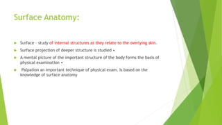 Surface Anatomy:
 Surface – study of internal structures as they relate to the overlying skin.
 Surface projection of deeper structure is studied •
 A mental picture of the important structure of the body forms the basis of
physical examination •
 Palpation an important technique of physical exam. Is based on the
knowledge of surface anatomy
 