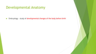 Developmental Anatomy
 Embryology – study of developmental changes of the body before birth
 