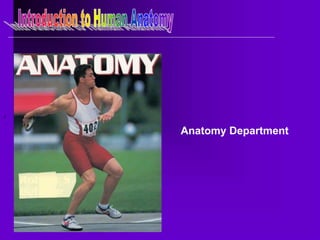 Anatomy Department
 