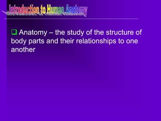 introduction to anatomy.pptx