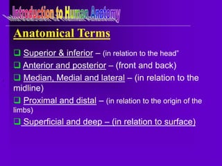 introduction to anatomy.pptx