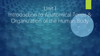 Unit I
Introduction to Anatomical Terms &
Organization of the Human Body
 