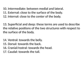 10. Intermediate: between medial and lateral.
11. External: close to the surface of the body.
12. Internal: close to the center of the body.
13. Superficial and deep: these terms are used to describe
the relative positions of the two structures with respect to
the surface of the body.
14. Ventral: towards the belly.
15. Dorsal: towards the back.
16. Cranial/rostral: towards the head.
17. Caudal: towards the tail.
 