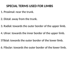1. Proximal: near the trunk.
2. Distal: away from the trunk.
3. Radial: towards the outer border of the upper limb.
4. Ulnar: towards the inner border of the upper limb.
SPECIAL TERMS USED FOR LIMBS
5Tibial: towards the outer border of the lower limb.
6. Fibular: towards the outer border of the lower limb.
 