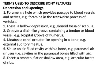 TERMS USED TO DESCRIBE BONY FEATURES
Depression and Openings
1. Foramen: a hole which provides passage to blood vessels
and nerves, e.g. foramina in the transverse process of
vertebra.
2. Fossa: a hollow depression, e.g. glenoid fossa of scapula.
3. Groove: a ditch-like groove containing a tendon or blood
vessel, e.g. bicipital groove of humerus.
4. Meatus: a canal or tube-like opening in a bone, e.g.
external auditory meatus.
5. Sinus: an air-filled cavity within a bone, e.g. paranasal air
sinuses (i.e. cavities in the paranasal bones filled with air).
6. Facet: a smooth, flat or shallow area, e.g. articular facets
of ribs.
 