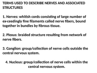 TERMS USED TO DESCRIBE NERVES AND ASSOCIATED
STRUCTURES
1. Nerves: whitish cords consisting of large number of
ex-ceedingly fine filaments called nerve fibers, bound
together in bundles by fibrous tissue.
2. Plexus: braided structure resulting from network of
nerve fibers.
3. Ganglion: group/collection of nerve cells outside the
central nervous system.
4. Nucleus: group/collection of nerve cells within the
central nervous system.
 