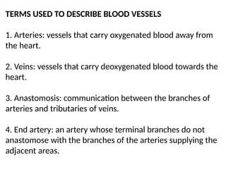 TERMS USED TO DESCRIBE BLOOD VESSELS
1. Arteries: vessels that carry oxygenated blood away from
the heart.
2. Veins: vessels that carry deoxygenated blood towards the
heart.
3. Anastomosis: communication between the branches of
arteries and tributaries of veins.
4. End artery: an artery whose terminal branches do not
anastomose with the branches of the arteries supplying the
adjacent areas.
 
