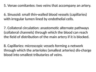 5. Venae comitantes: two veins that accompany an artery.
6. Sinusoid: small thin-walled blood vessels (capillaries)
with irregular lumen lined by endothelial cells.
7. Collateral circulation: anastomotic alternate pathways
(collateral channels) through which the blood can reach
the field of distribution of the main artery if it is blocked.
8. Capillaries: microscopic vessels forming a network
through which the arterioles (smallest arteries) dis-charge
blood into smallest tributaries of veins.
 