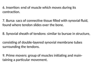6. Insertion: end of muscle which moves during its
contraction.
7. Bursa: sacs of connective tissue filled with synovial fluid,
found where tendon slides over the bone.
8. Synovial sheath of tendons: similar to bursae in structure,
consisting of double-layered synovial membrane tubes
surrounding the tendons.
9. Prime movers: group of muscles initiating and main-
taining a particular movement.
 
