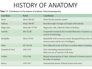 HISTORY OF ANATOMY
 