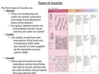 Introduction to Anatomyyyyyyyyyyyyyyyyyy | PPTX
