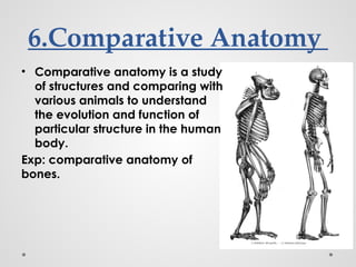 Introduction to Anatomy cadaver embalming.pptx