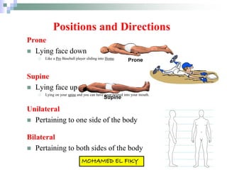 Positions and Directions
Prone
 Lying face down
 Like a Pro Baseball player sliding into Home.
Supine
 Lying face up
 Lying on your spine and you can have soup poured into your mouth.
Unilateral
 Pertaining to one side of the body
Bilateral
 Pertaining to both sides of the body
 