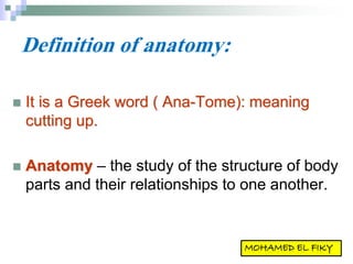 Definition of anatomy:
 It is a Greek word ( Ana-Tome): meaning
cutting up.
 Anatomy – the study of the structure of body
parts and their relationships to one another.
 