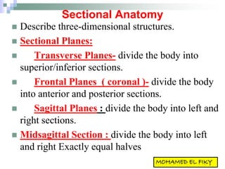 Sectional Anatomy
 Describe three-dimensional structures.
 Sectional Planes:
 Transverse Planes- divide the body into
superior/inferior sections.
 Frontal Planes ( coronal )- divide the body
into anterior and posterior sections.
 Sagittal Planes : divide the body into left and
right sections.
 Midsagittal Section : divide the body into left
and right Exactly equal halves
 