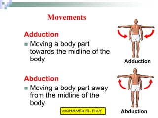 Movements
Adduction
 Moving a body part
towards the midline of the
body
Abduction
 Moving a body part away
from the midline of the
body
 