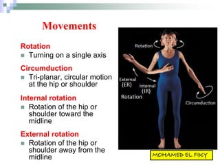 Movements
Rotation
 Turning on a single axis
Circumduction
 Tri-planar, circular motion
at the hip or shoulder
Internal rotation
 Rotation of the hip or
shoulder toward the
midline
External rotation
 Rotation of the hip or
shoulder away from the
midline
 