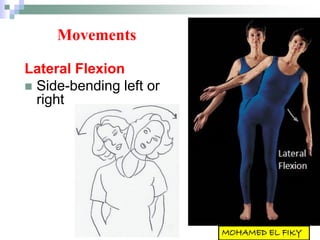 Movements
Lateral Flexion
 Side-bending left or
right
 