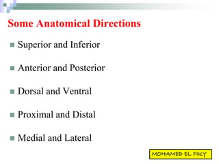 Some Anatomical Directions
 Superior and Inferior
 Anterior and Posterior
 Dorsal and Ventral
 Proximal and Distal
 Medial and Lateral
 
