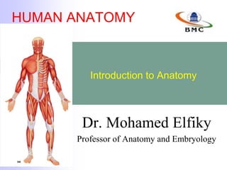 HUMAN ANATOMY
Dr. Mohamed Elfiky
Professor of Anatomy and Embryology
Introduction to Anatomy
 