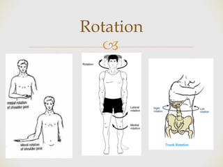 Introduction to anatomy 1 | PDF