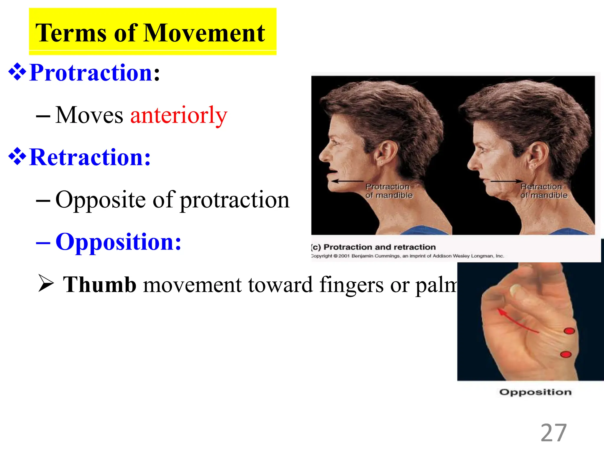 introduction to human anatomy for master degree student | PPT