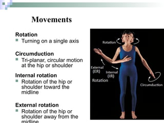 Circular Articular Rotation Example Comprehensive Introduction to Human Anatomy: Terminology, Planes, and ...