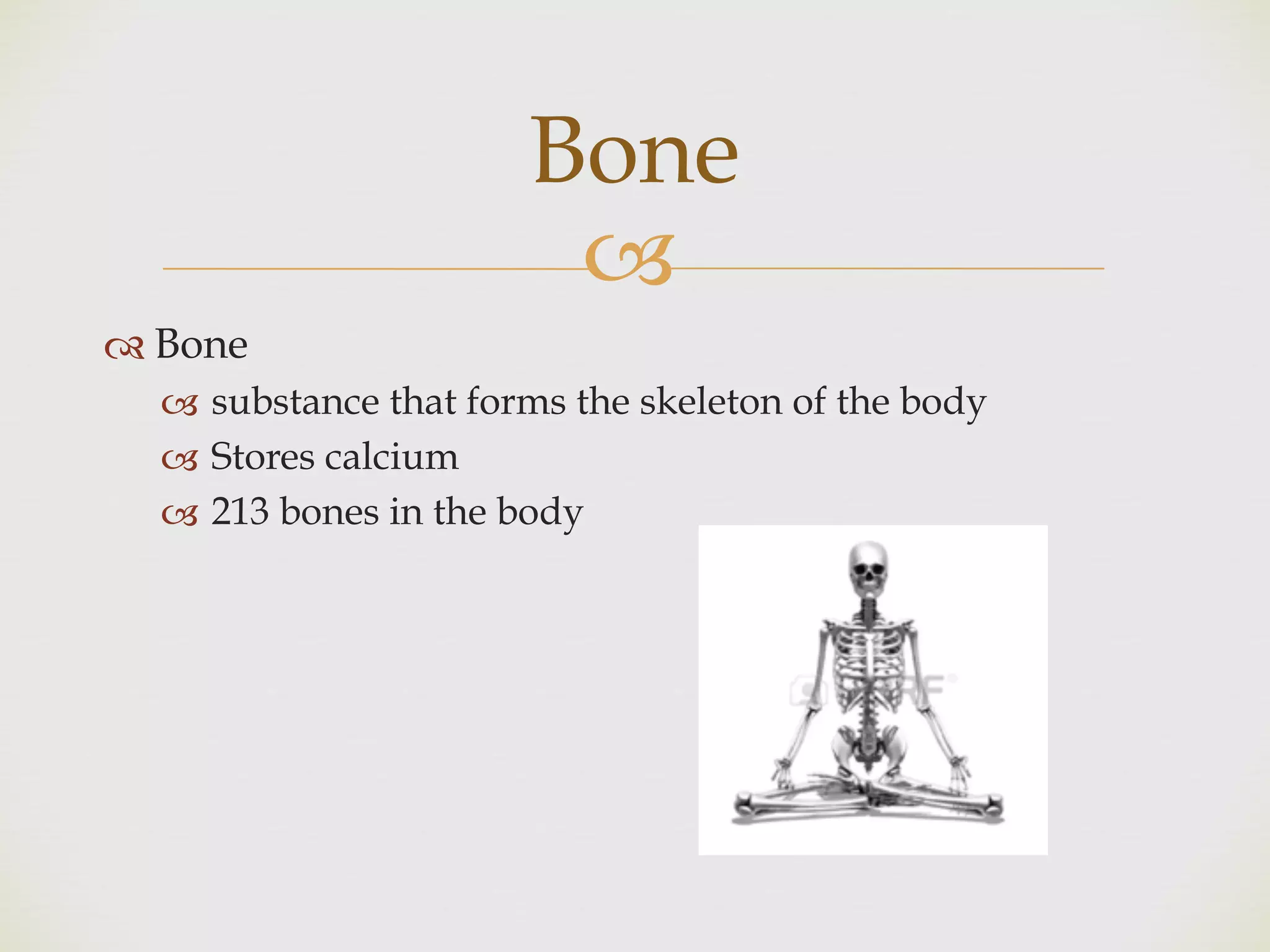 !
" Bone
! substance that forms the skeleton of the body
! Stores calcium
! 213 bones in the body
Bone
 