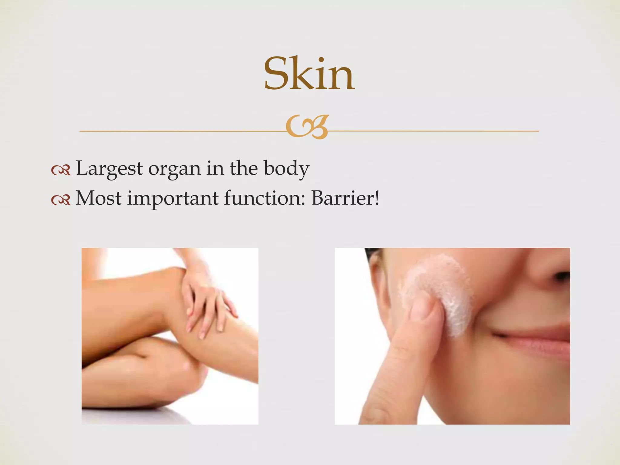 !
" Largest organ in the body
" Most important function: Barrier!
Skin
 