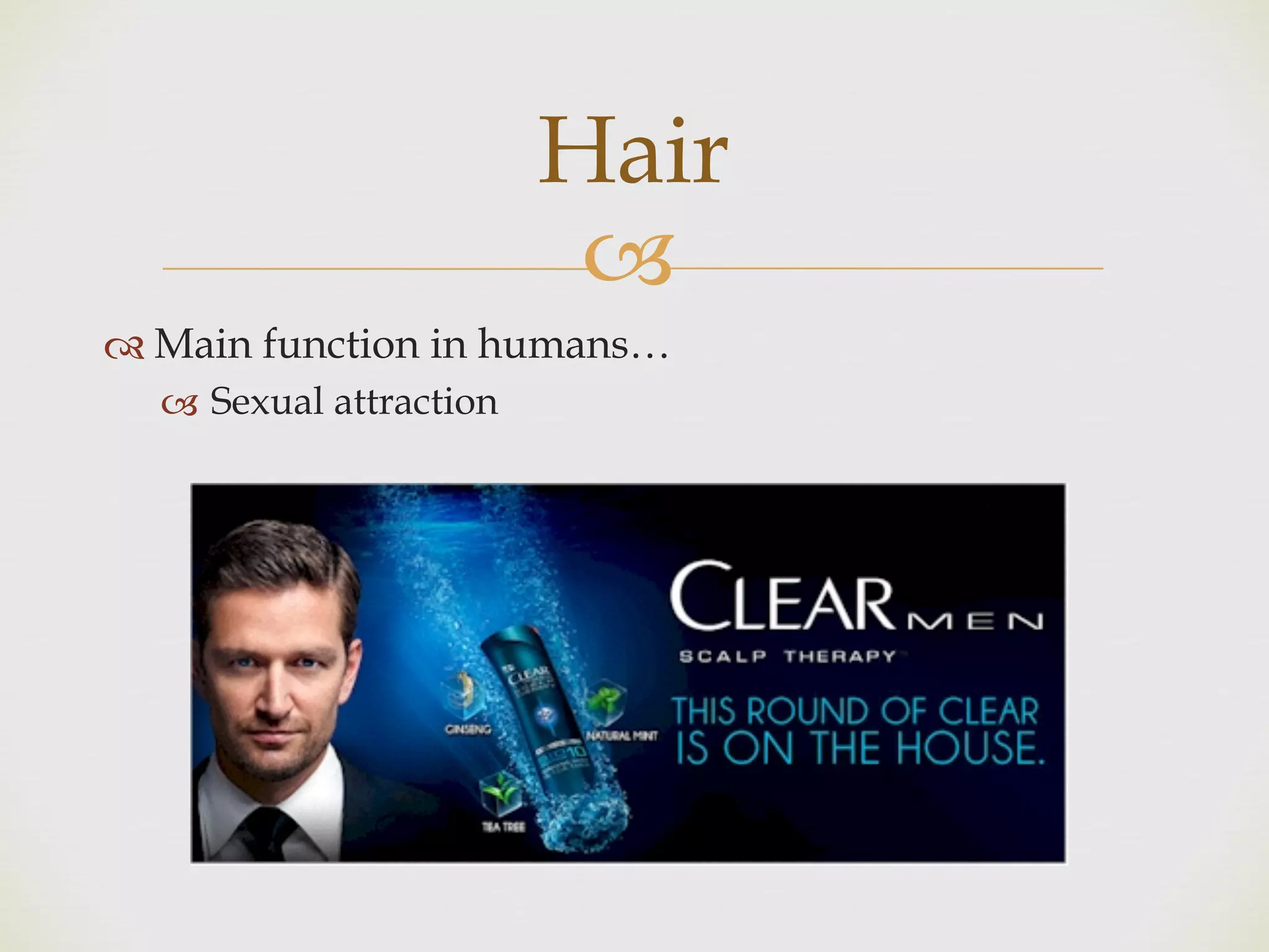 !
" Main function in humans…
! Sexual attraction
Hair
 