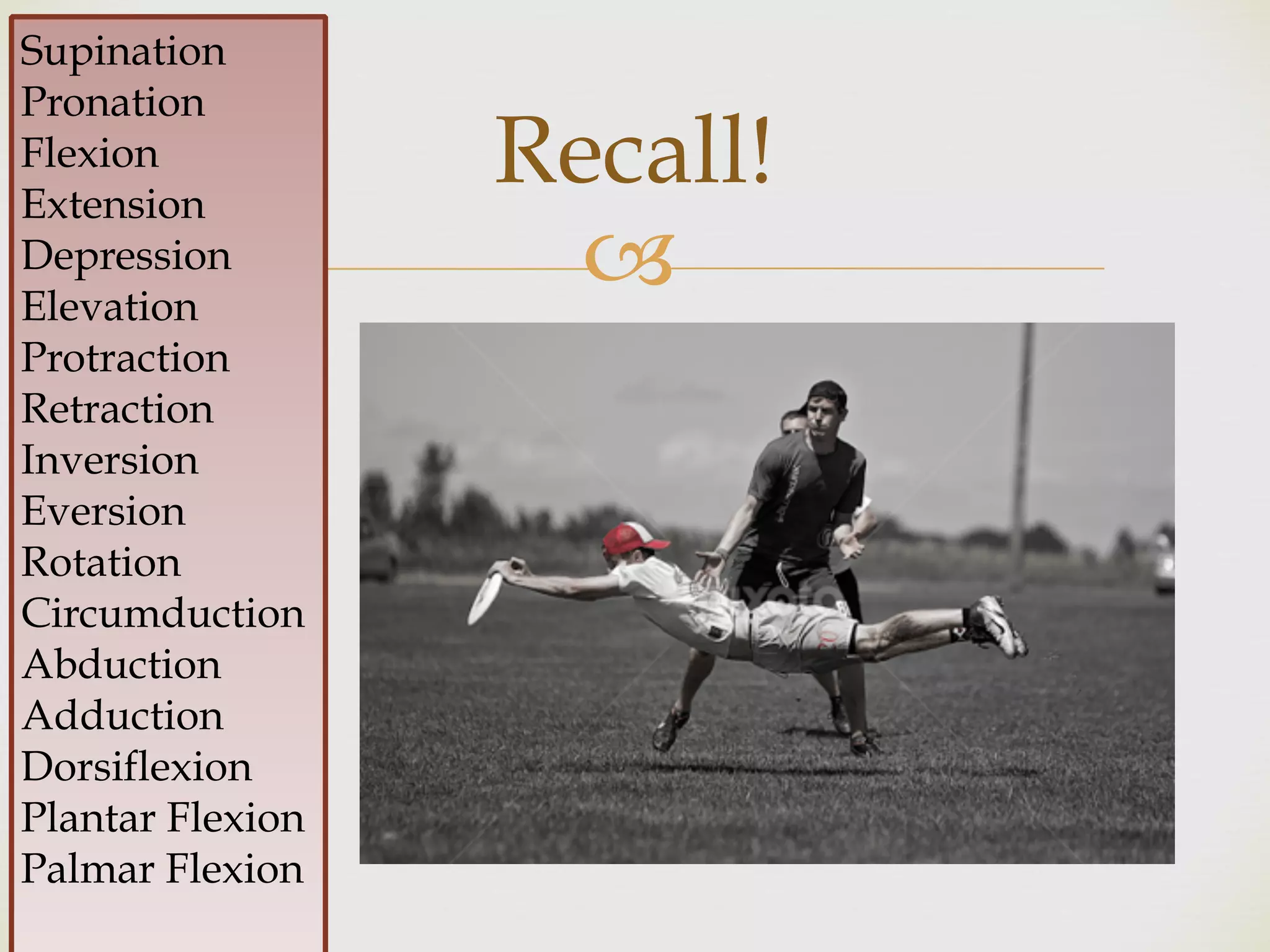 !
Recall!
Supination
Pronation
Flexion
Extension
Depression
Elevation
Protraction
Retraction
Inversion
Eversion
Rotation
Circumduction
Abduction
Adduction
Dorsiflexion
Plantar Flexion
Palmar Flexion
 