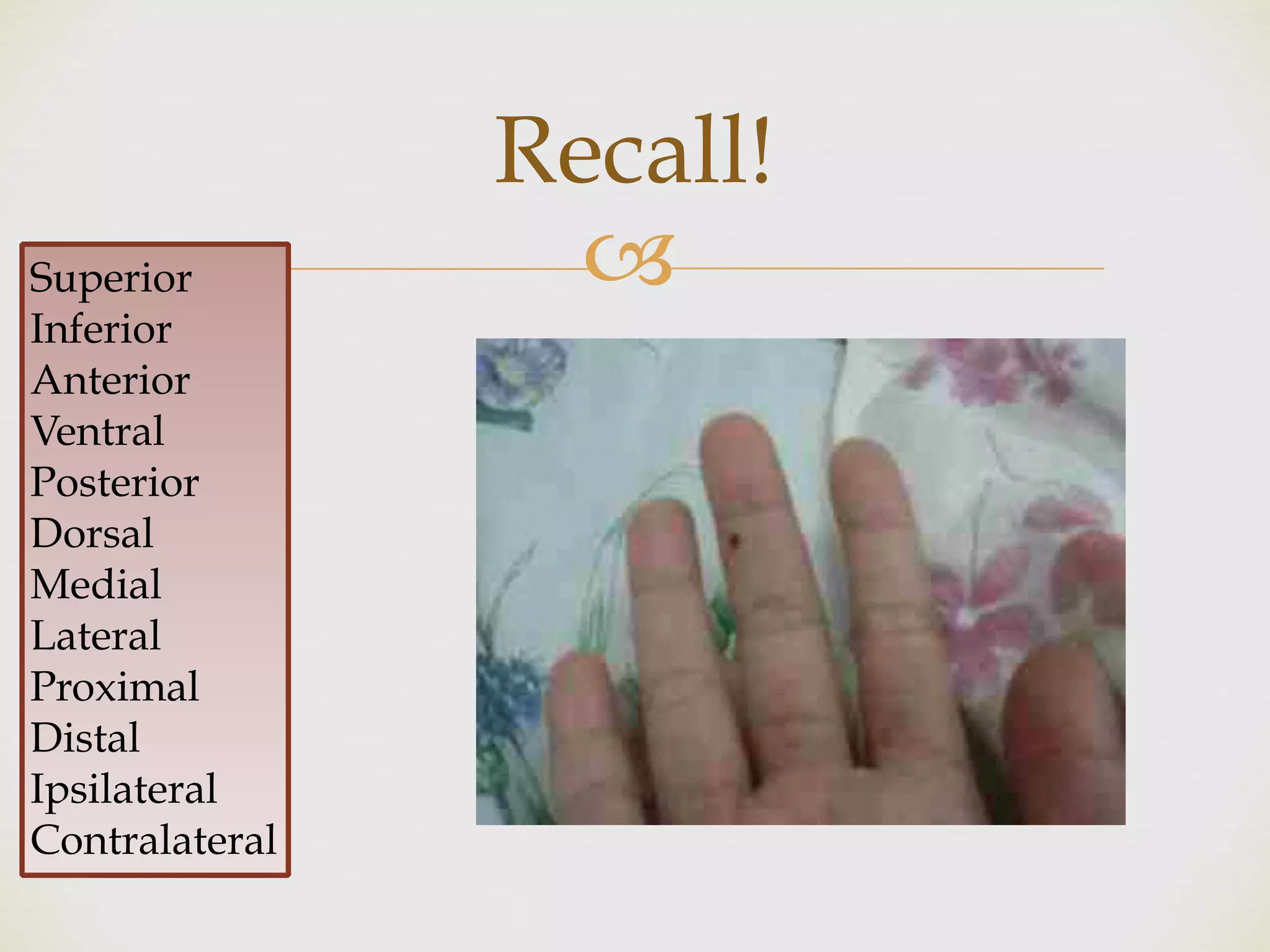 !
Recall!
Superior
Inferior
Anterior
Ventral
Posterior
Dorsal
Medial
Lateral
Proximal
Distal
Ipsilateral
Contralateral
 