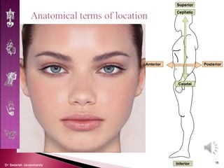 Introduction to anatomy, anatomical terms | PPT